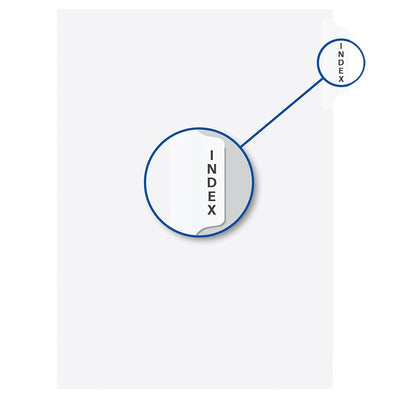 ''INDEX'' WHITE 11''LITIG.DIV. (DAVW07402)
