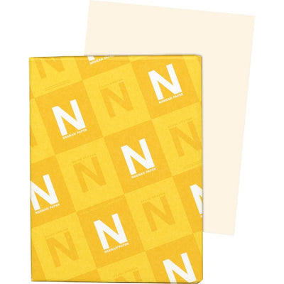 Exact Vellum Bristol Paper - Ivory (NEE82361)