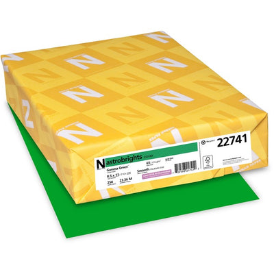 Astrobrights Color Card Stock - Gamma Green (NEE22741)