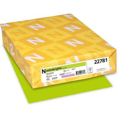 Astrobrights Color Card Stock - Terra Green (NEE22781)