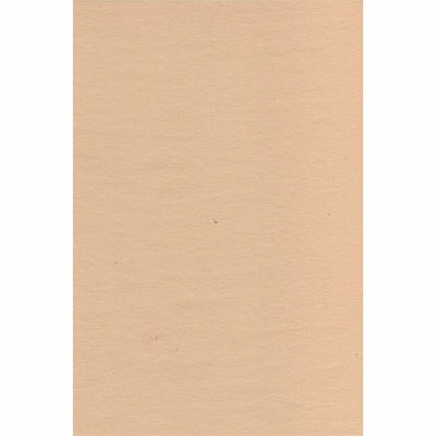 MANILLA PAP.12X18" (NPPC1702090)