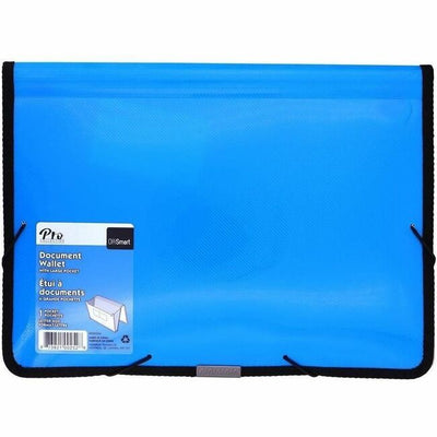 ELAS.EXP.FILE ASSORTED COLORS (AVDA00252)