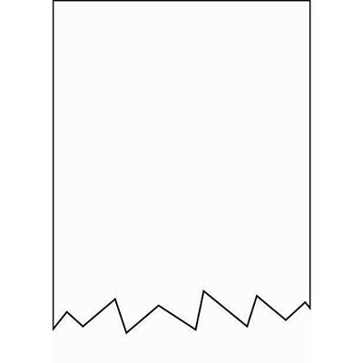 Tec SL-9000 Report roll,120',48/case (SL9000-120)