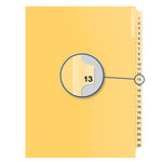 #13 BUFF 11" LITIG.DIVID (DAVB14013)