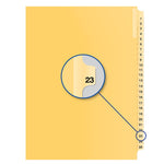 #23 BUFF 11" LITIG.DIVID (DAVB14023)