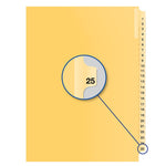 #25 BUFF 11" LITIG.DIVID (DAVB14025)