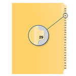 #29 BUFF 11" LITIG.DIVID (DAVB14029)