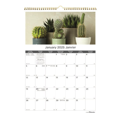 Blueline Blueline Monthly Wall Calendar (BLIC173121B)