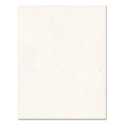 BRISTOL 4PLY 14PT 22x28 *WHITE (HLR20210)