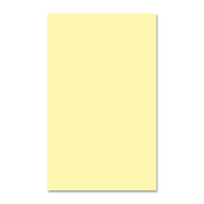 EarthChoice Colors Multipurpose Paper - Canary (DMR81088)
