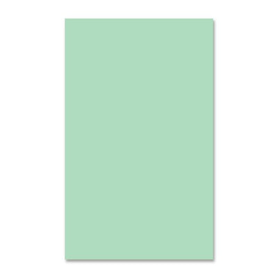EarthChoice Colors Multipurpose Paper - Green (DMR81089)