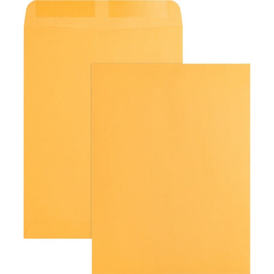 Business Source Kraft Gummed Catalog Envelopes (BSN42100)