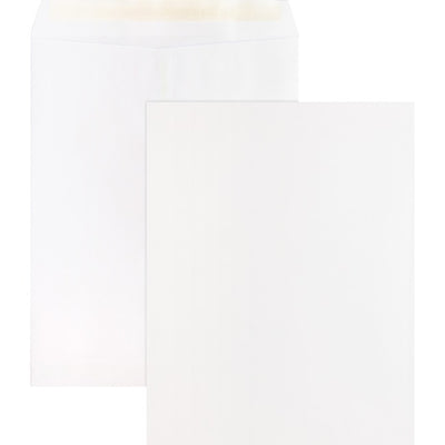 Business Source Self Sealing Catalog Envelopes (BSN65451)