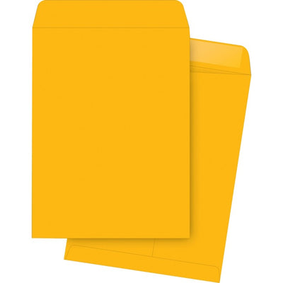 Business Source Kraft Gummed Catalog Envelopes (BSN42114)
