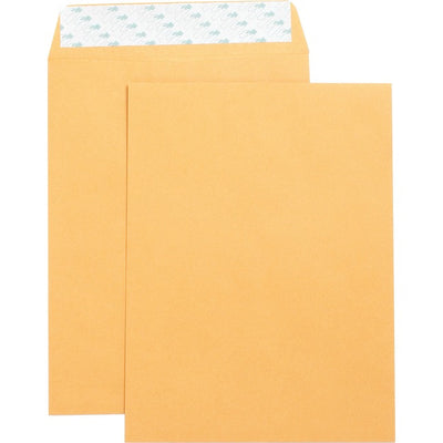 Business Source Self Adhesive Kraft Catalog Envelopes (BSN42120)