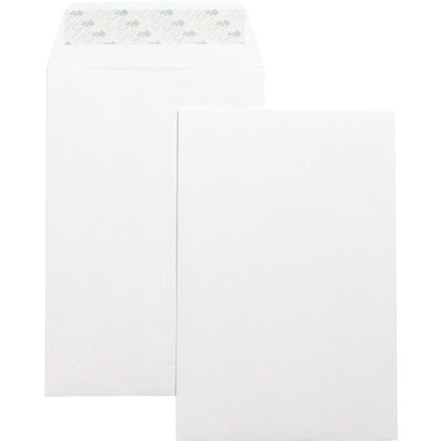 Business Source Self-Seal 6"x9" Catalog Envelopes (BSN42122)