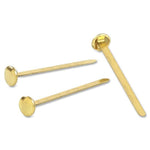 Swingline Round Head Paper Fastener (ACC71713)