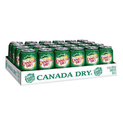 GINGER ALE CAN DRY 355ml,12/CS (VND3894)