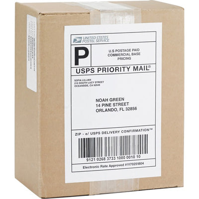 Business Source Shipping Labels (BSN26161)
