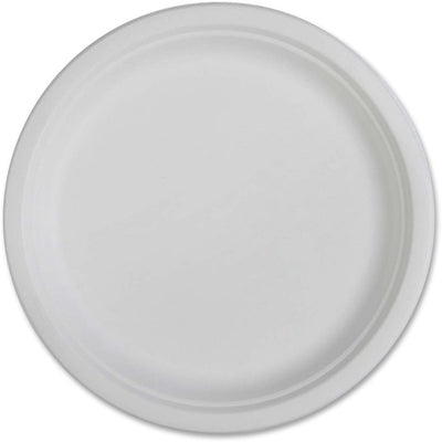 PLATE,COMPOSTABLE,10" (GJO10218)