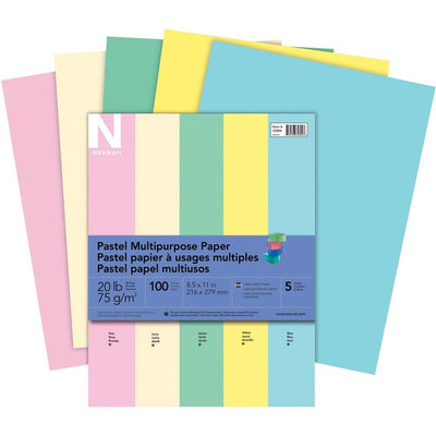PASTEL PPR LTR 20LB ASST*100pk (NEEP32899)