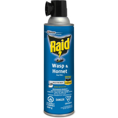 Raid Wasp/Hornet Killer Spray (SJN01776)
