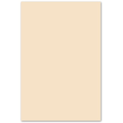 PAPER EARTHCH.67LB LGL,IVORY (DMR161625)