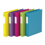 D-RING BINDER 1" NEON ASS. (RGO23061-6)