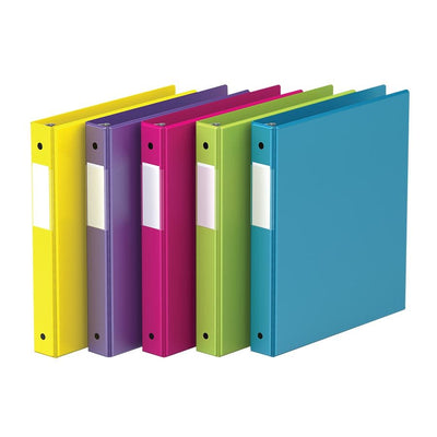 D-RING BINDER 1" NEON ASS. (RGO23061-6)
