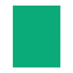 EarthChoice® Hots® Coloured Paper Green/500pk (790501 (851-81319))