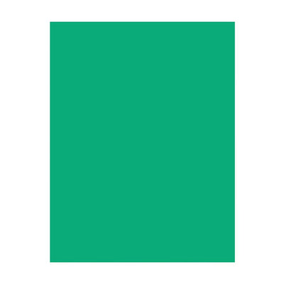 EarthChoice® Hots® Coloured Paper Green/500pk (790501 (851-81319))