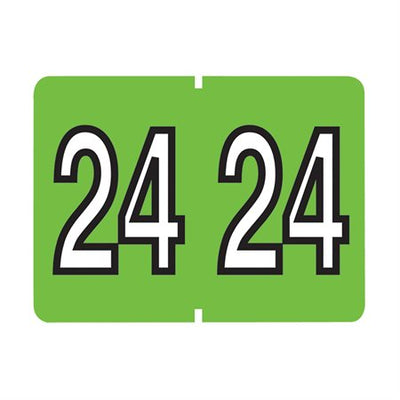 FILE LABEL*2024 LT.GRN, 500/PK (PFX06724)